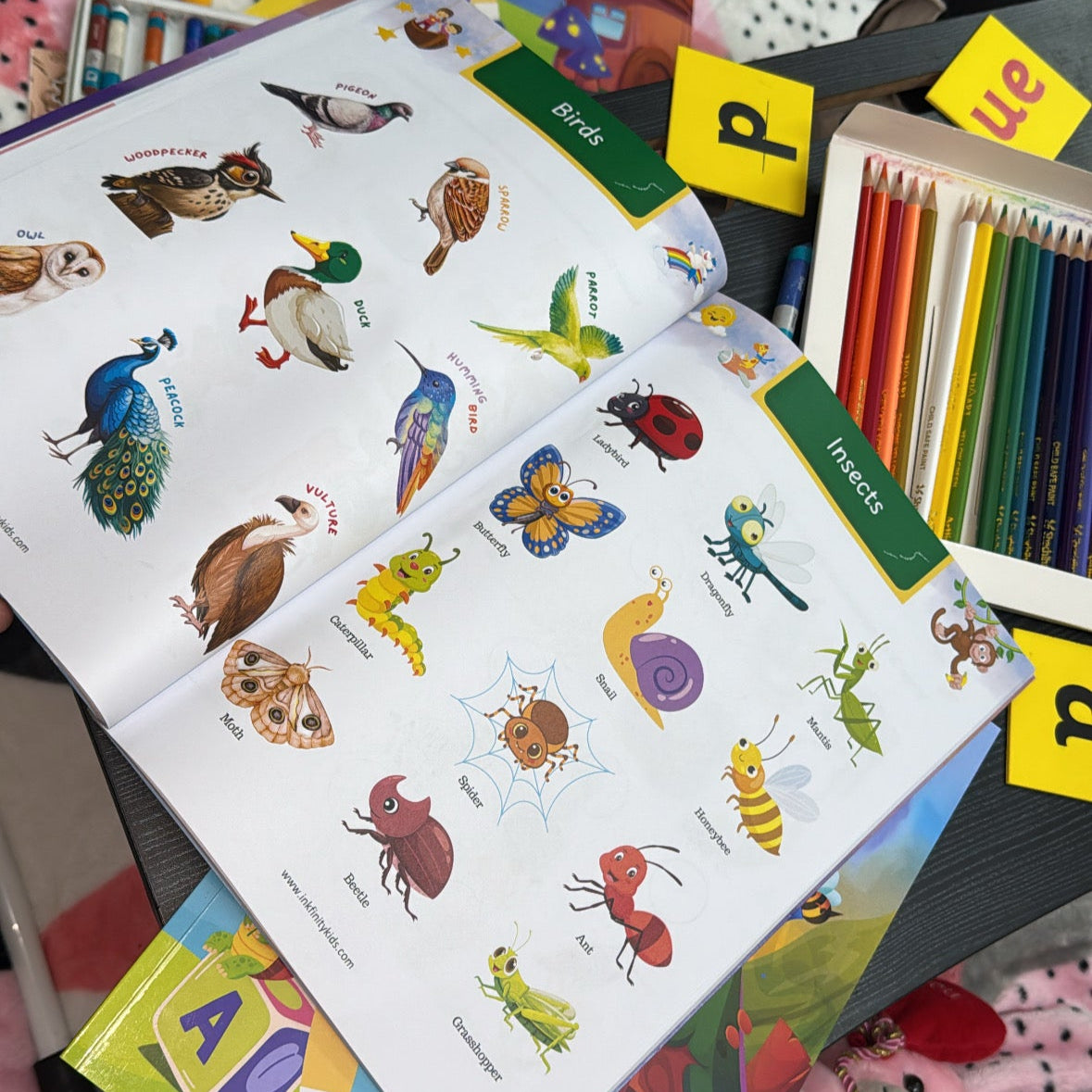 Little Learners Lab – Book Set for Nursery